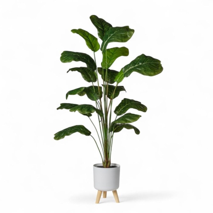 FICUS IN VASO H120 CON 18 FOGLIE